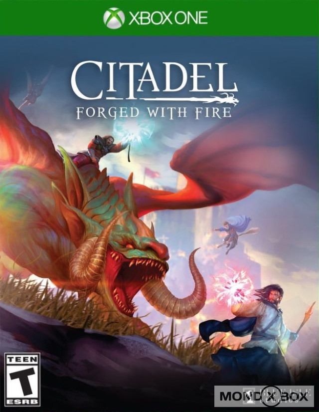 Copertina di Citadel: Forged With Fire
