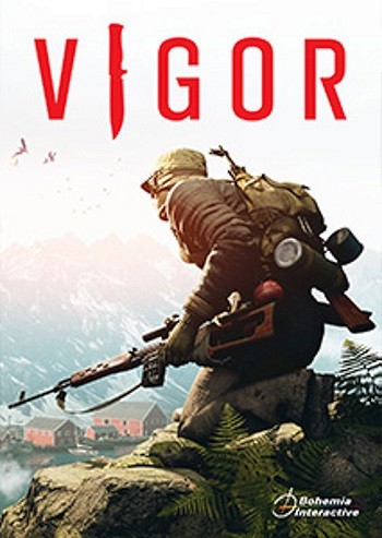 Copertina di Vigor