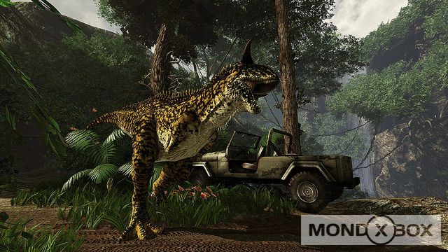 headerimage