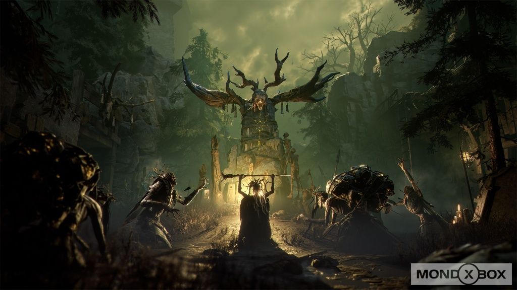 headerimage