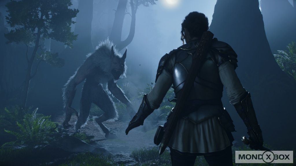 headerimage